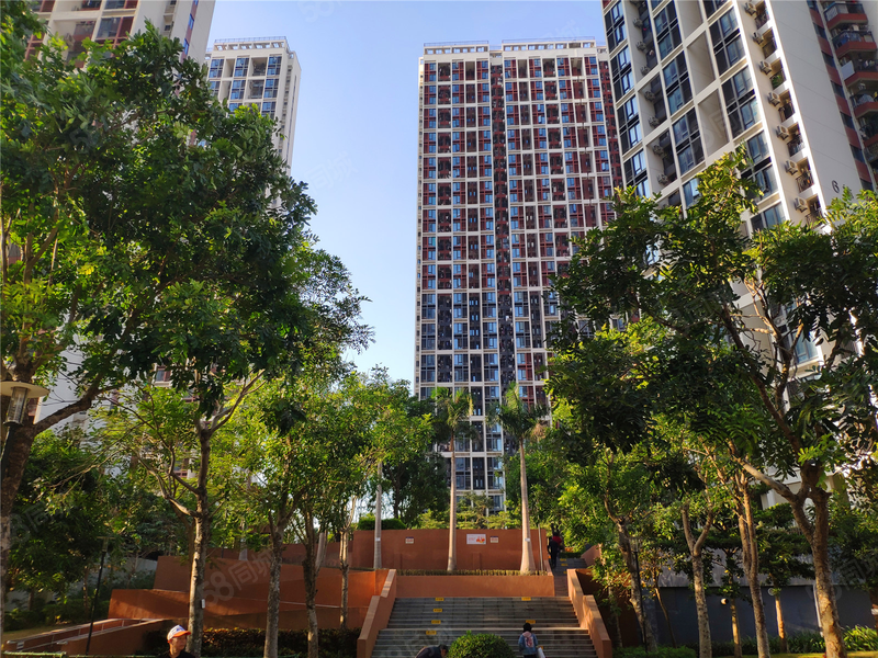 降价急降23万,满五唯.一红本房,龙外可用,随时看有钥匙