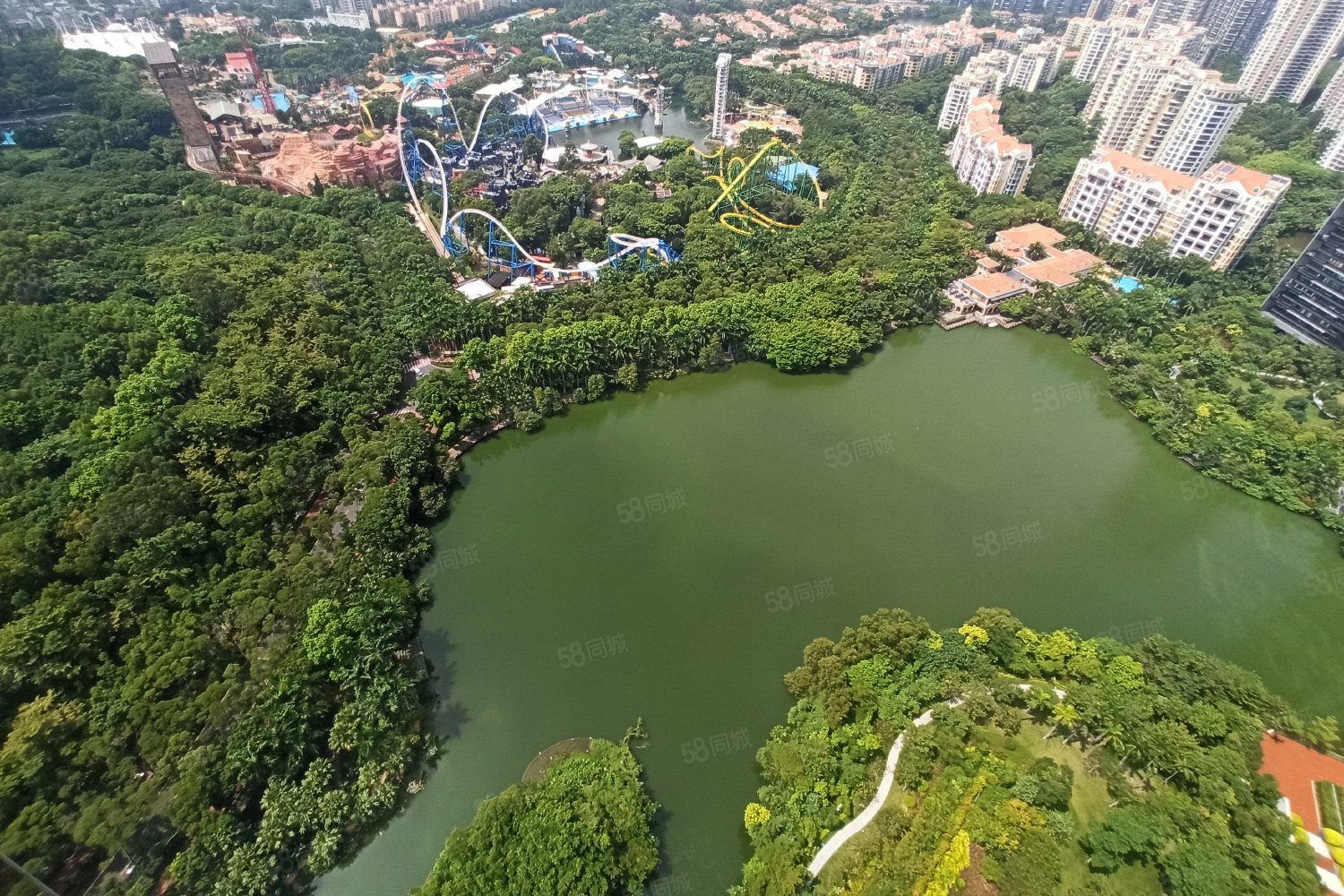 天鹅湖花园二期294平超高楼层丨出诚售