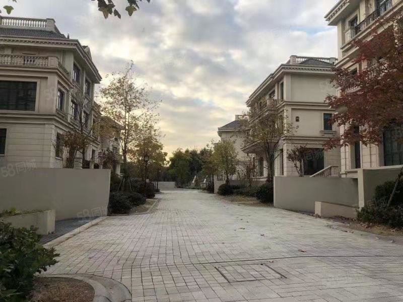 花桥梦世界一手别墅,繁华地段 不限购 可贷款,真正的地铁 房