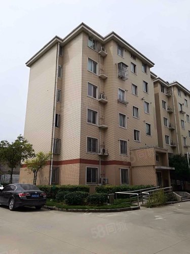 近地铁罗南新村站 罗南镇中心 房东诚心出售 装修好前后无遮挡