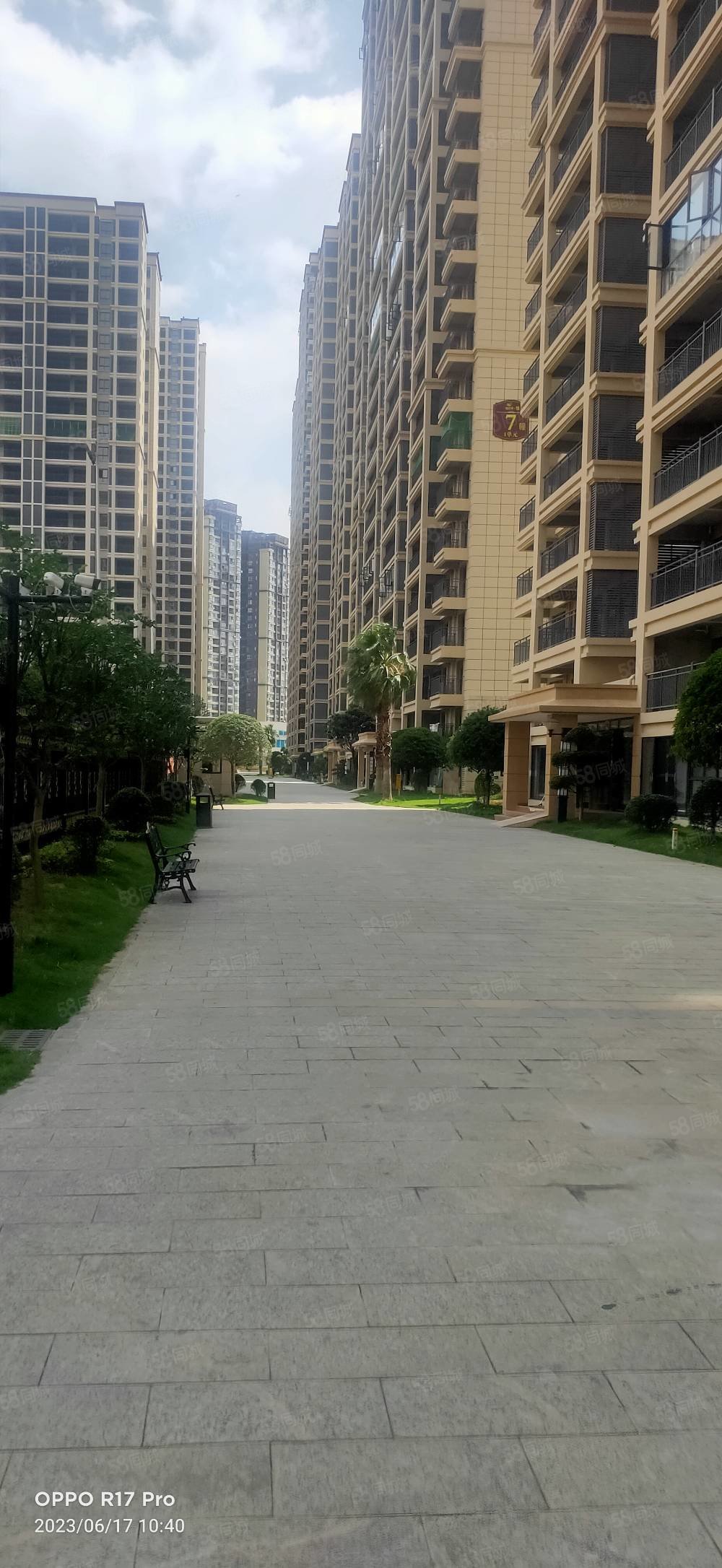 捡漏桔山湖高品质小区精装4房视野