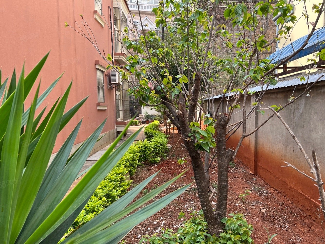 【10图】市中心 碧溪苑独栋别墅,四面花园 340平