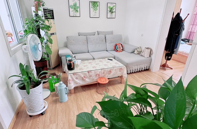 文轩 一中 实验   龙山北区 好楼层 三居