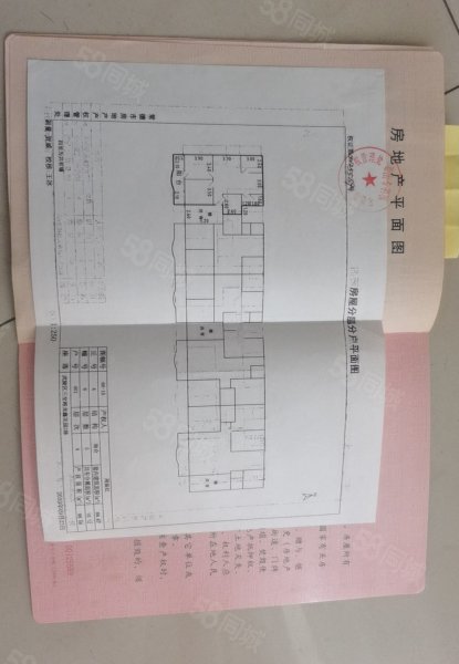 龙鑫花园3室2厅1卫100㎡南58万