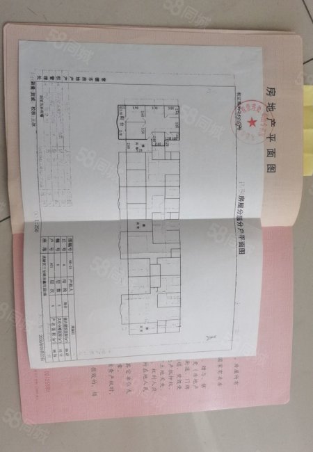 龙鑫花园3室2厅1卫100㎡南58万