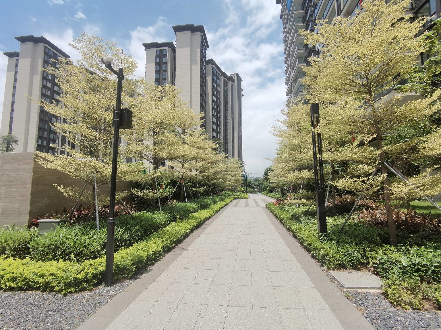 坐享寮步tod新区版块 享受松山湖人口外溢红利,华侨城纯水岸-东莞58