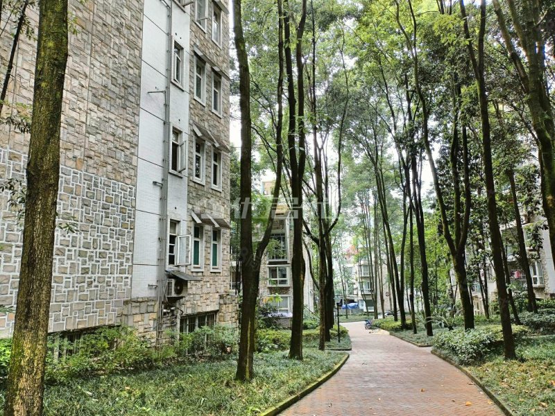 【10图】小区环境不错交通便利,水木青华-重庆58同城