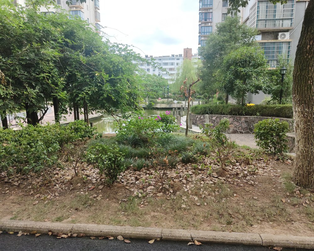 【凤凰星城, 凤凰星城小区详情,房价走势,房源,业主论坛】- 上饶58