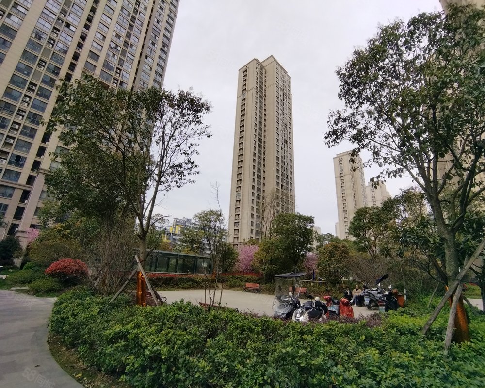 【天湖国际天悦园, 天湖国际天悦园小区详情,房价走势,房源,业主论坛