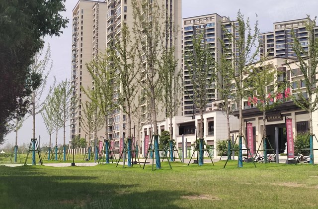 宝丰大地城3室2厅122.01㎡37.8万二手房图片