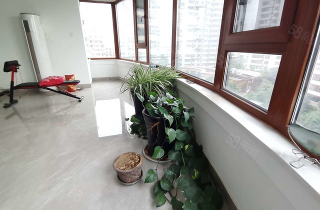 水城华府 带车储 11层电梯洋房 中上层  全天采光