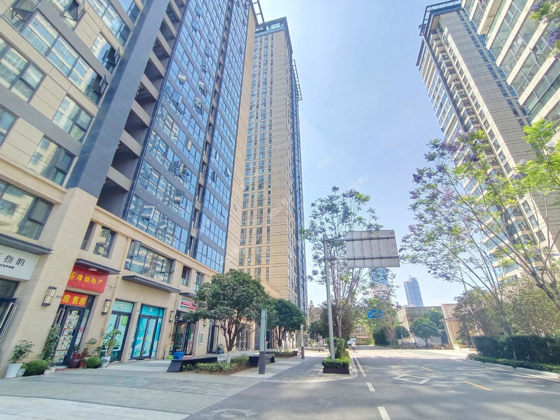 价格低 市中心豪宅 白塔路逸天峰 奢装大平层,俊发逸天峰-昆明58同城