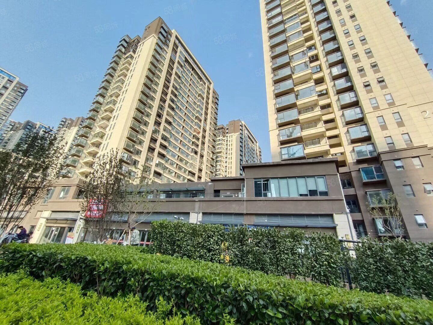 金地峯范(商住楼)2室2厅2卫34.88㎡南北18.5万