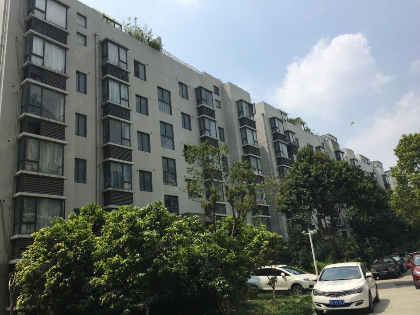 有钥匙塔园路地铁口品质小区清水园一楼前无遮挡