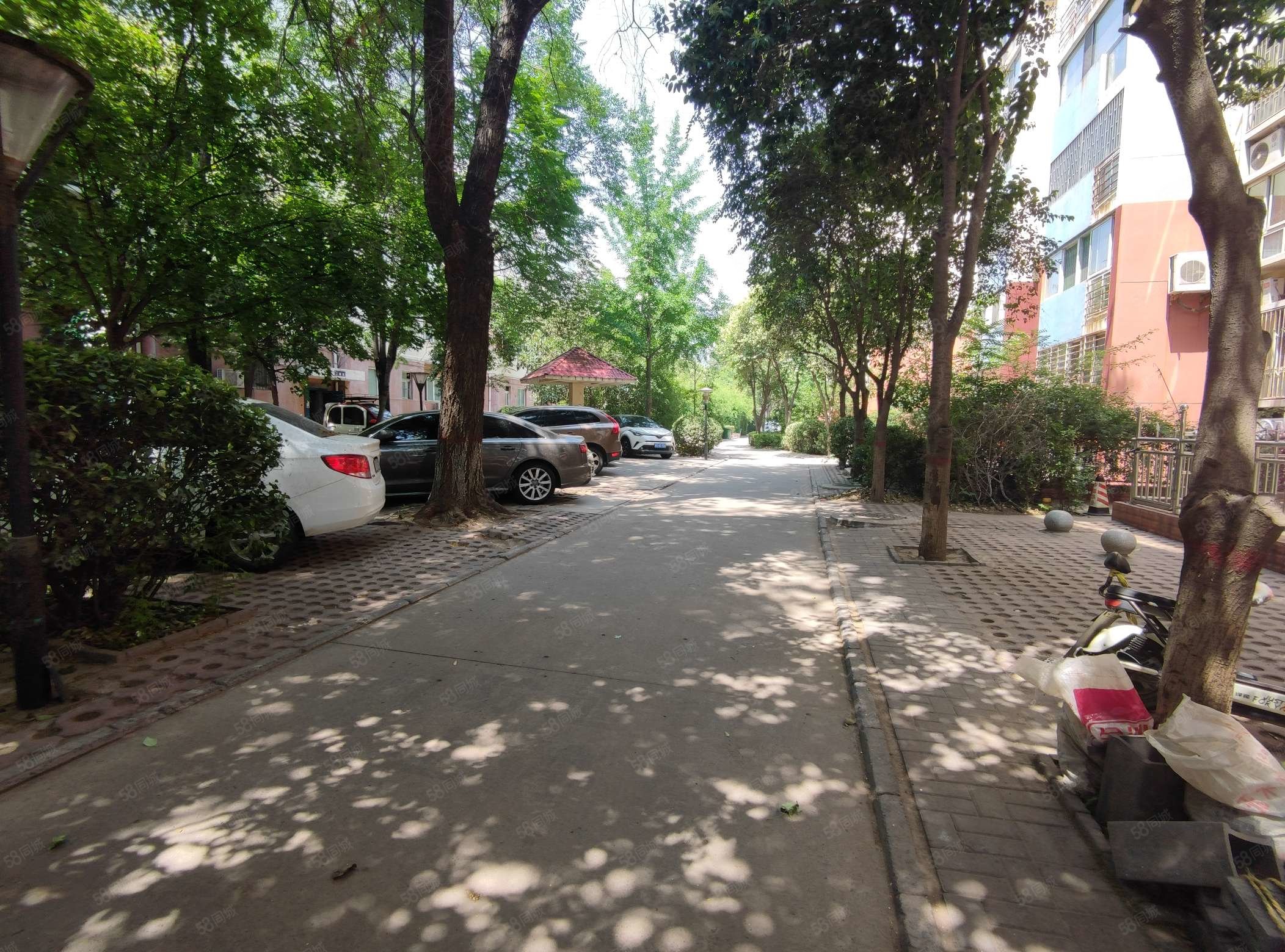 安居东城 美乐城 大剧院 龙湖公园 邯郸市中心医院,连城别苑散花坊