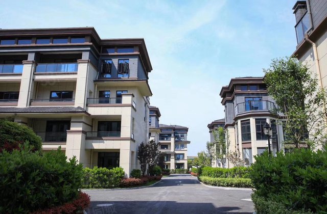 养老好去处****有朗臻桃花源电梯房低首付