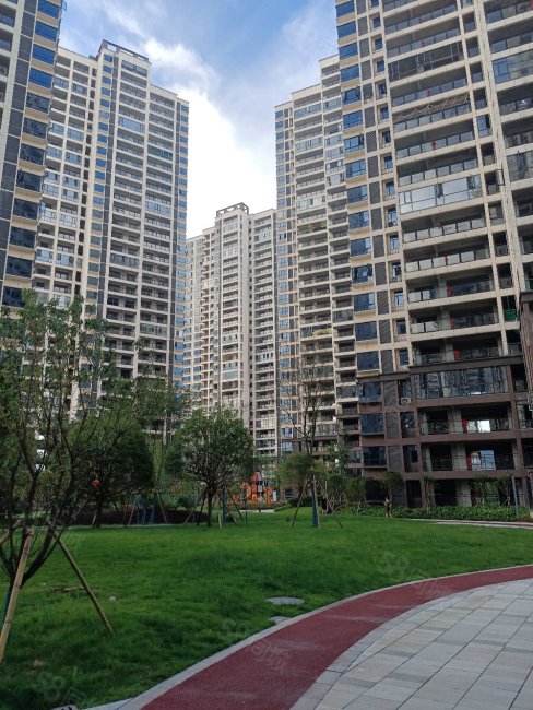 合一福东江首府5室2厅2卫176㎡南北106万