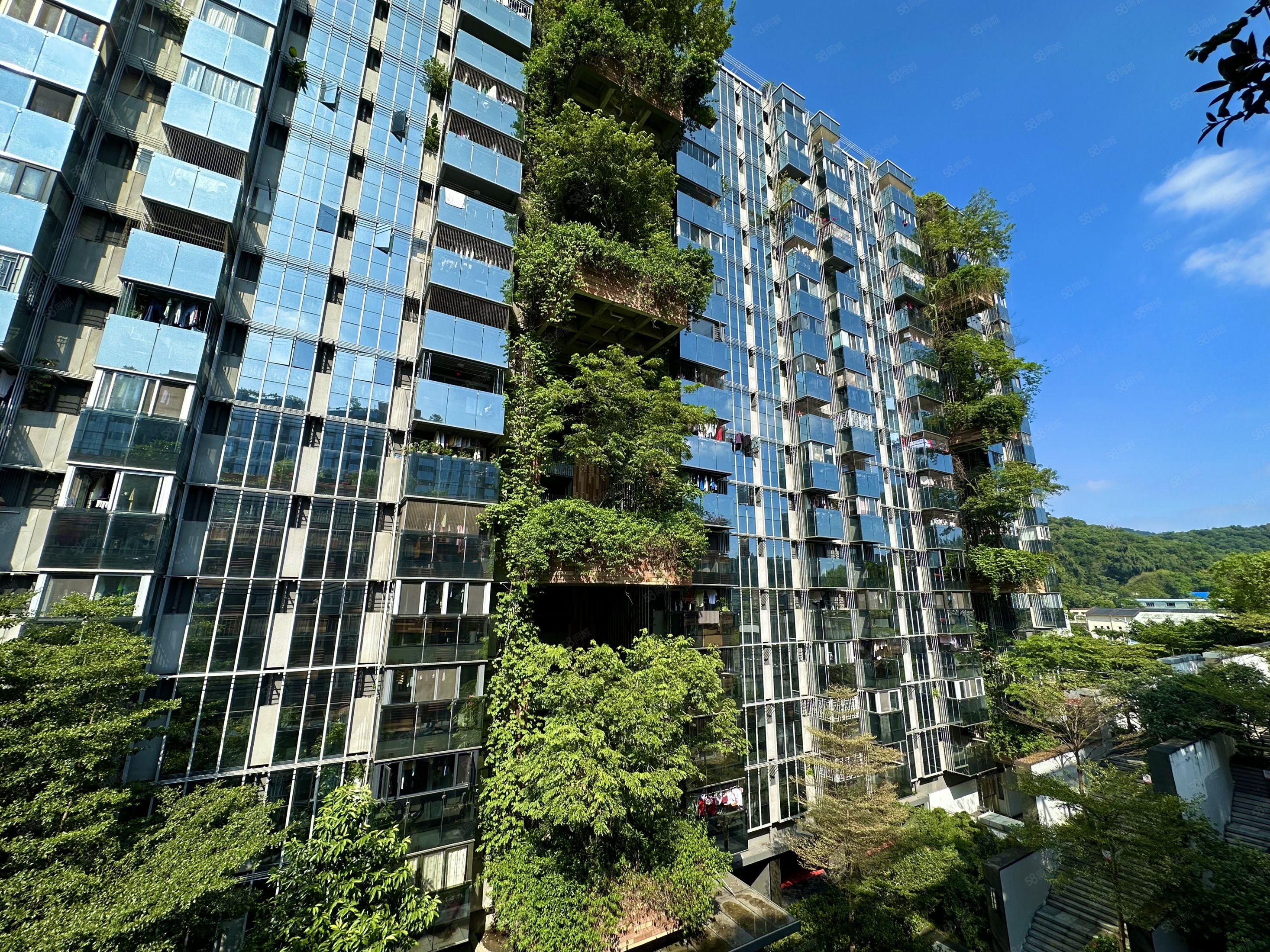 白云大道南万科峯境商业配套成熟正规商品房楼龄新