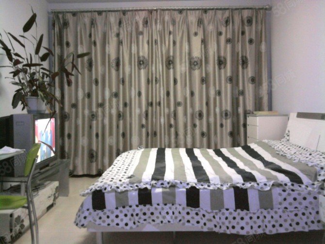 珠江西区1室1厅1卫43.3㎡南北11万