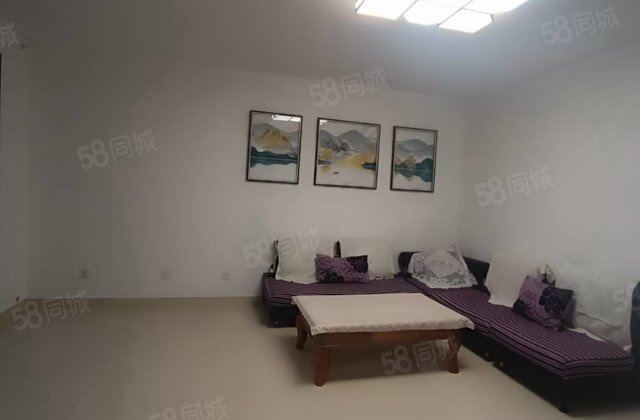 老文轩天梯房100万左右三室