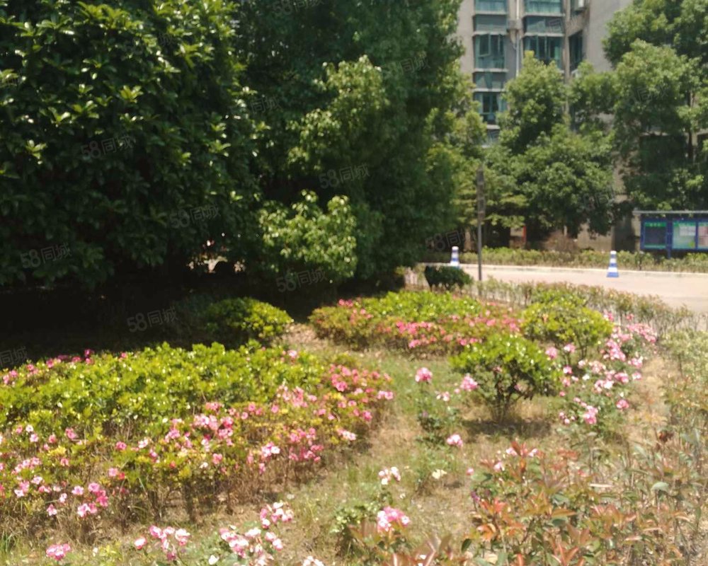 【钱塘景苑, 钱塘景苑小区详情,房价走势,房源,业主论坛】- 杭州58