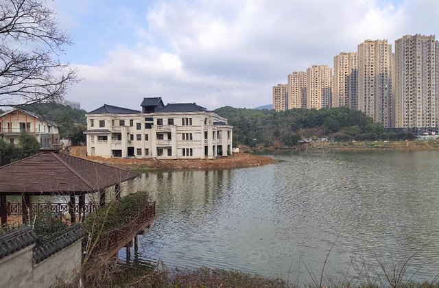 金科东方大院一线临湖独栋别墅 花园1300平,雷锋大道501号-长沙58同城