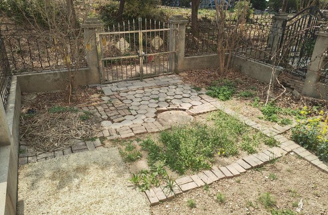 价！ 一楼带院  三室免大税带车位储藏室