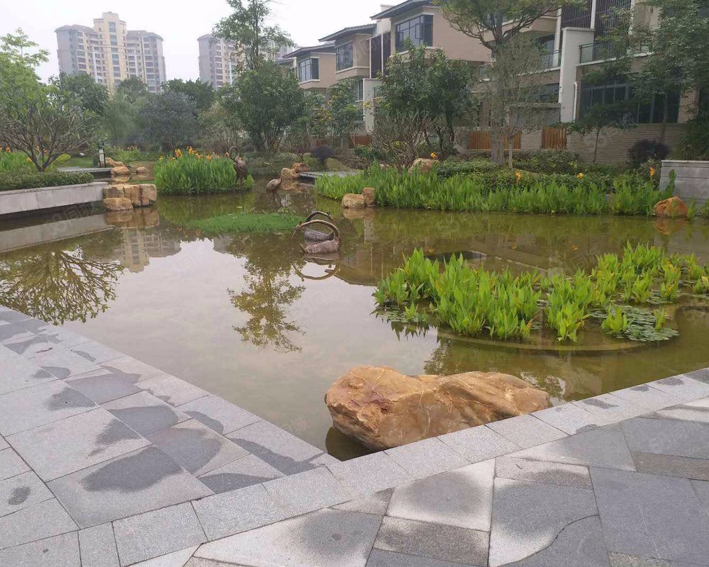 雅居乐小院流溪小区详情,房价走势,房源,业主论坛】- 广州58同城