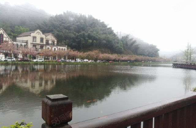 天鹅堡森林公园2室1厅50㎡24.6万二手房图片