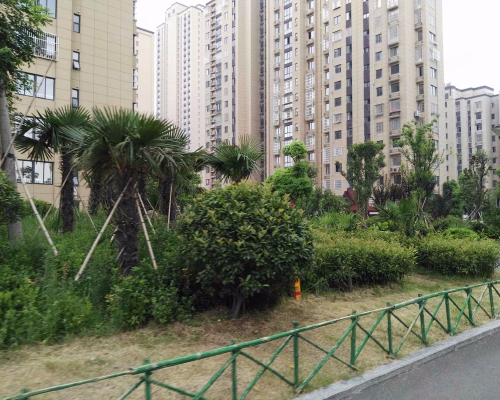 【煌庭棕榈湾, 煌庭棕榈湾小区详情,房价走势,房源,业主论坛】- 徐州