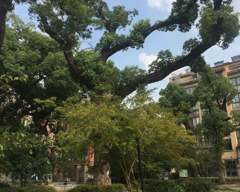 【申基香樟花园, 申基香樟花园小区详情,房价走势,房源,业主论坛】