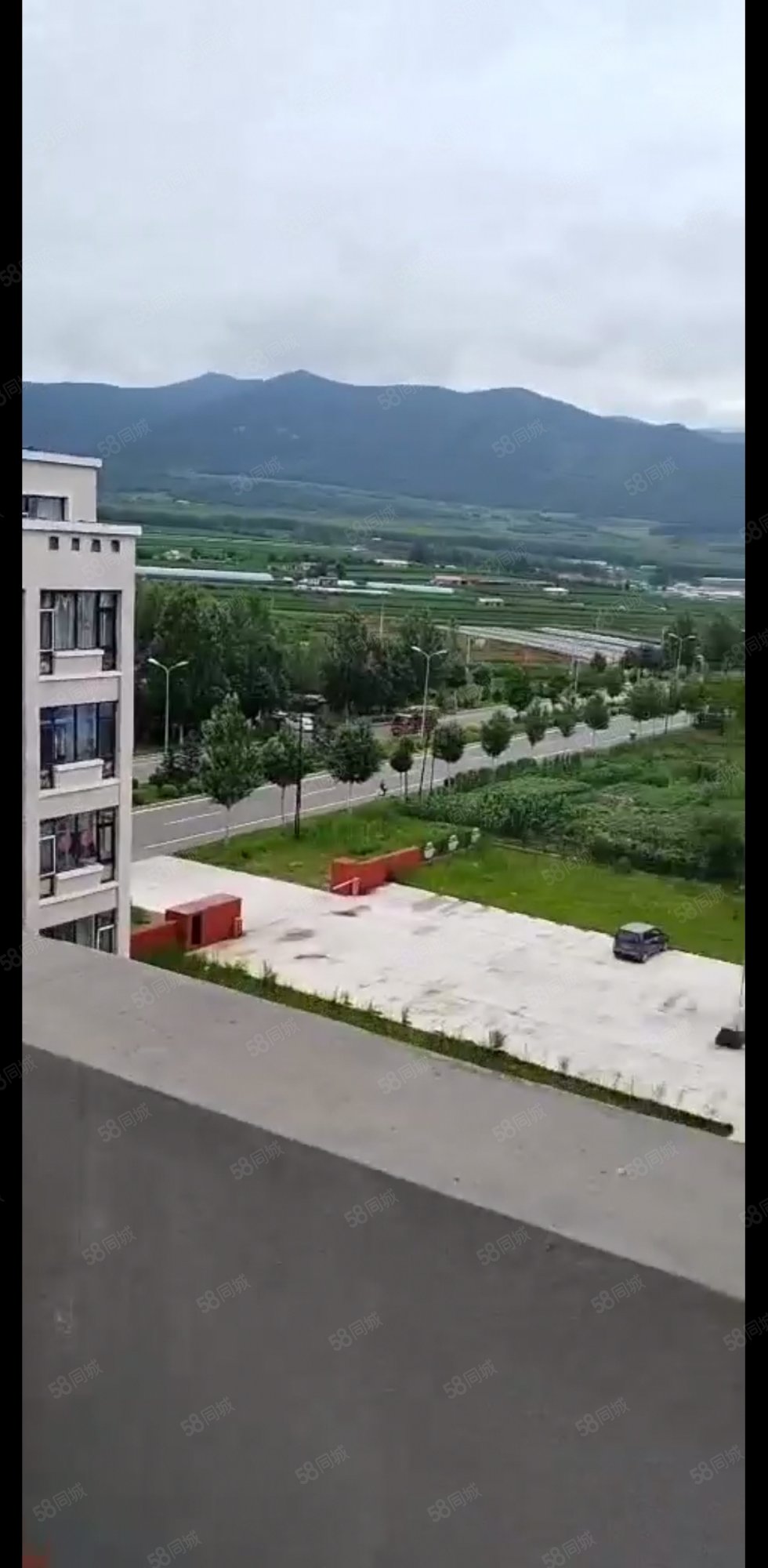 金港湾国际花园4室3厅2卫184.06㎡南北23.6万