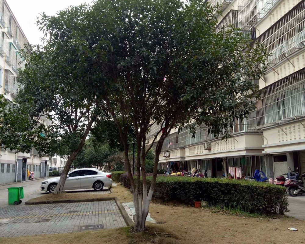 【阳明花园, 阳明花园小区详情,房价走势,房源,业主论坛】- 象山58