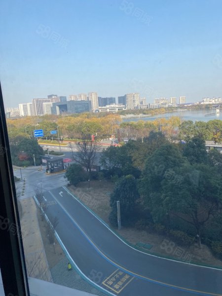 南金鹰金鹰平墅4室毛坯小区环境优美密度低