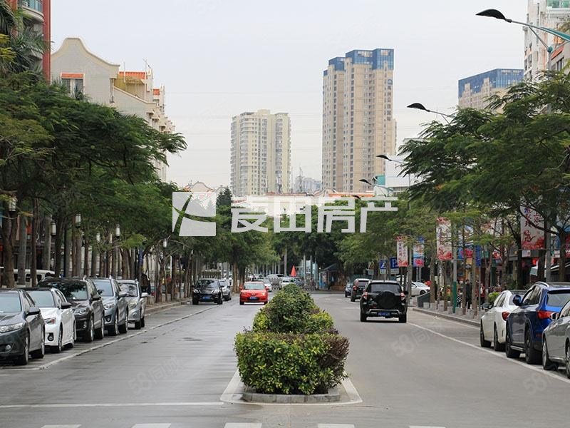 瑞景公园5室3厅4卫162.93㎡南北1579万