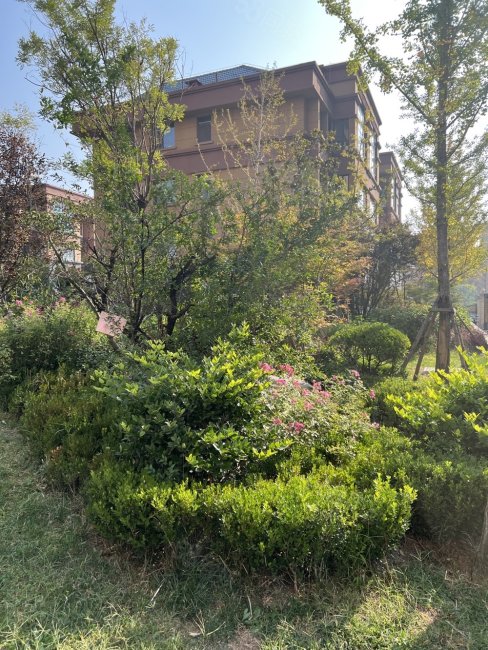 盛世豪庭 3室2厅2卫 带储藏室 证满2年,盛世豪廷-莱芜58同城