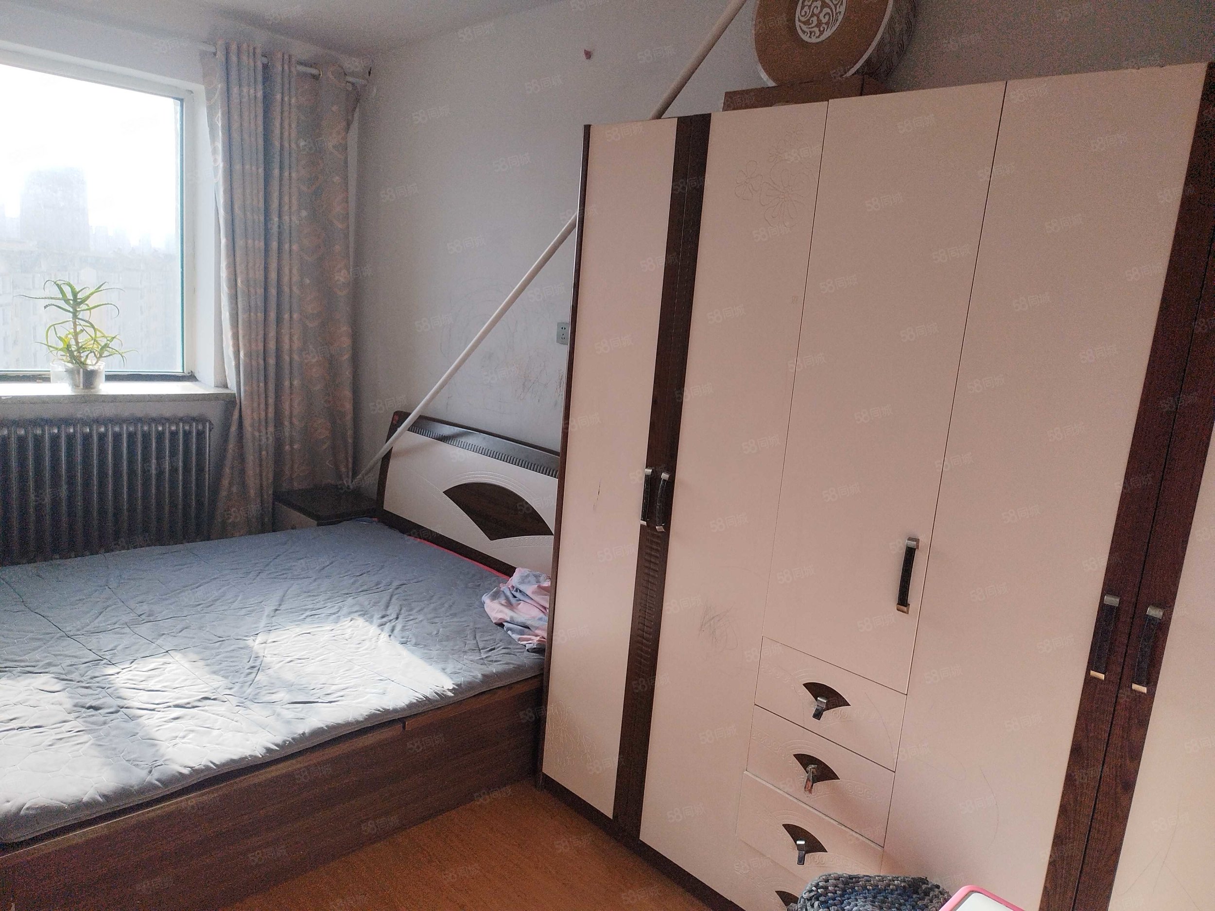 酒厂宿舍2室1厅1卫59.29㎡东西11万