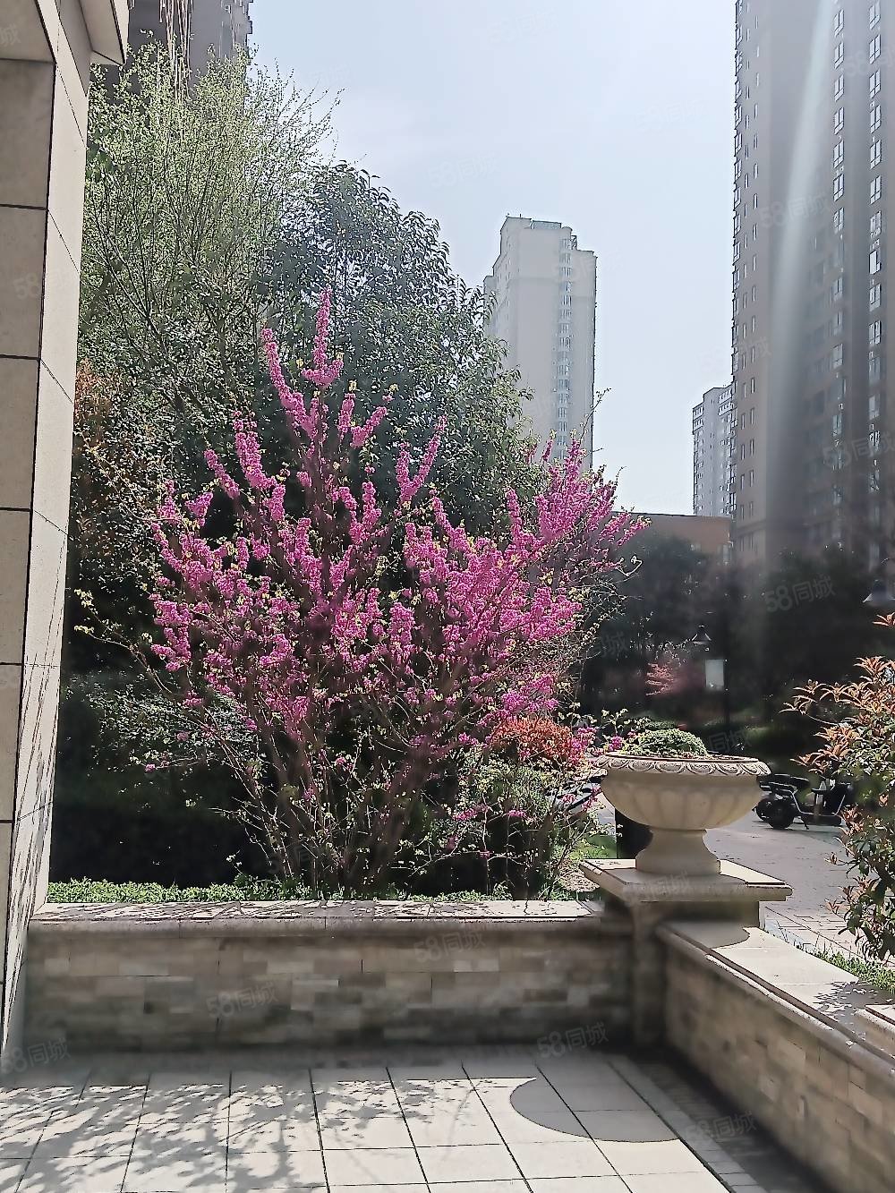【10图】精装修拎包入住彩光美太太,海兴城-渭南58同城