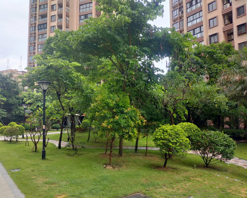 濠江花园三期小区详情,房价走势,房源,业主论坛】- 汕头58同城