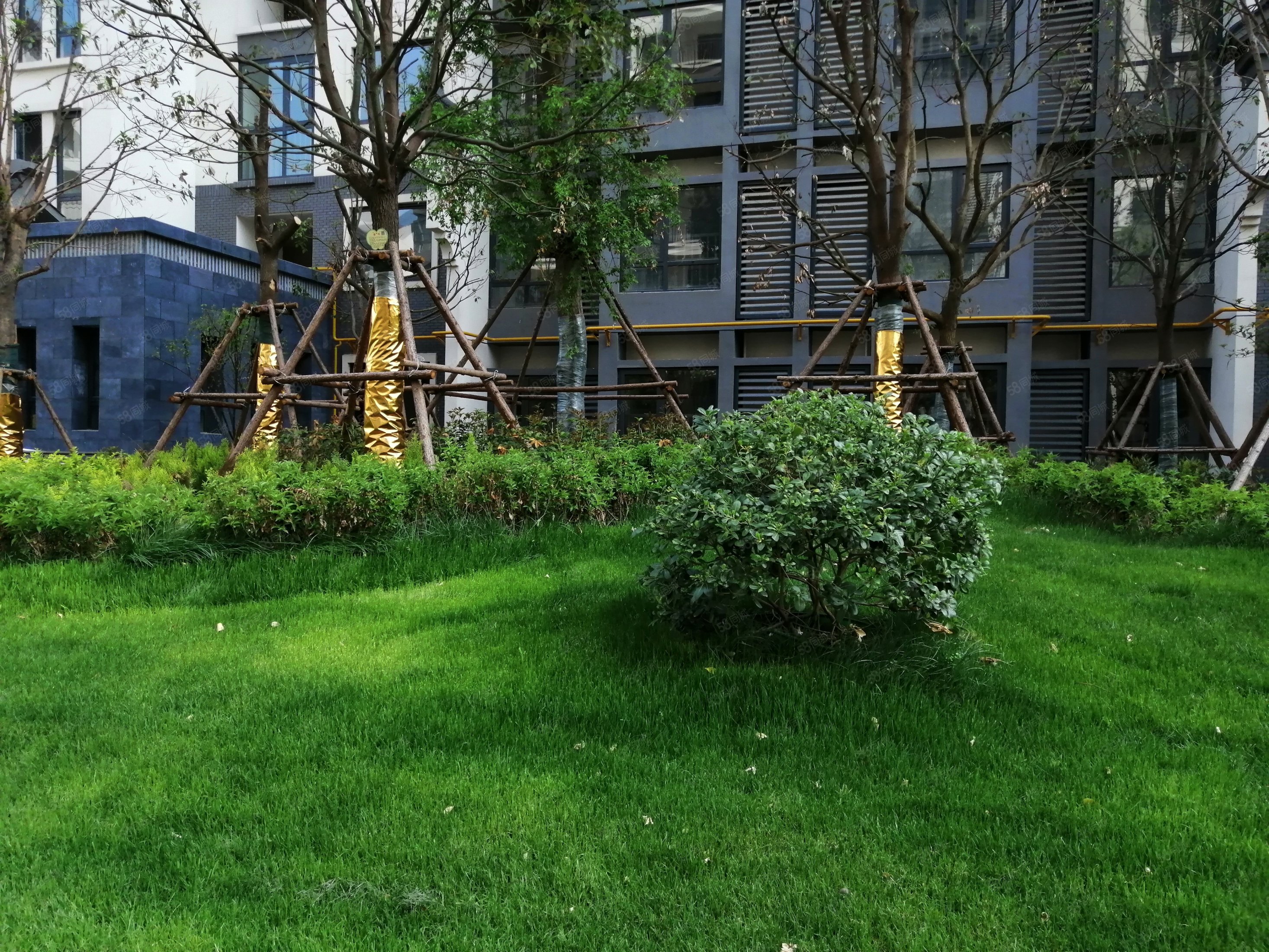 劲爆急售支持公积金贷错过拍大腿中信紧临常绿大溪地