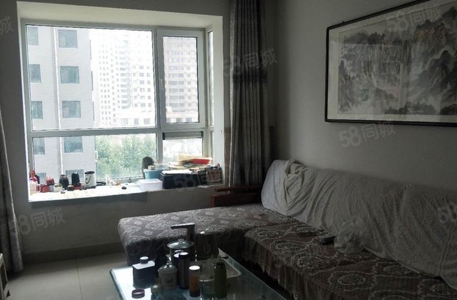 阳光实验附近小两室 颐馨园二期电梯好楼层 月亮湾 金柱绿城