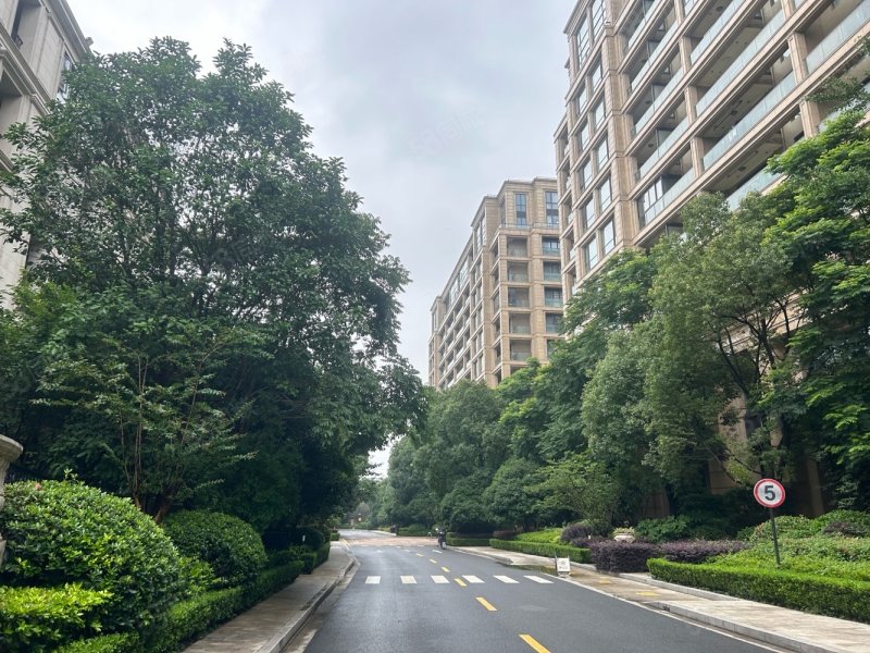 送产权字母双车位!,绿城兰园(商住楼)-上海58同城