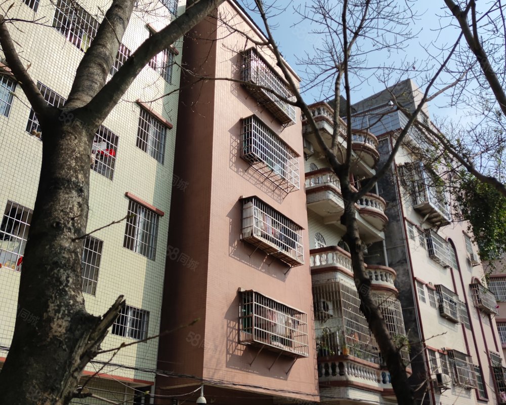 【东圃莲溪村 东圃莲溪村小区详情,房价走势,房源,业主论坛 广州