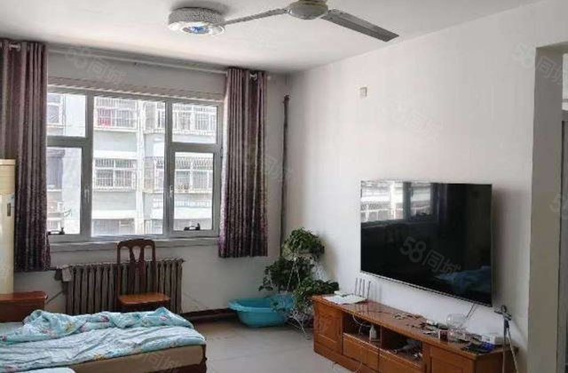 文轩本部，红旗小雪，柳园小区，温馨两居，裕昌文轩