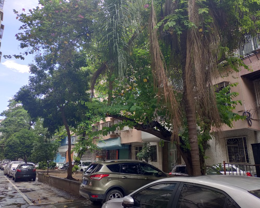 【椰园, 椰园小区详情,房价走势,房源,业主论坛】- 汕头58同城