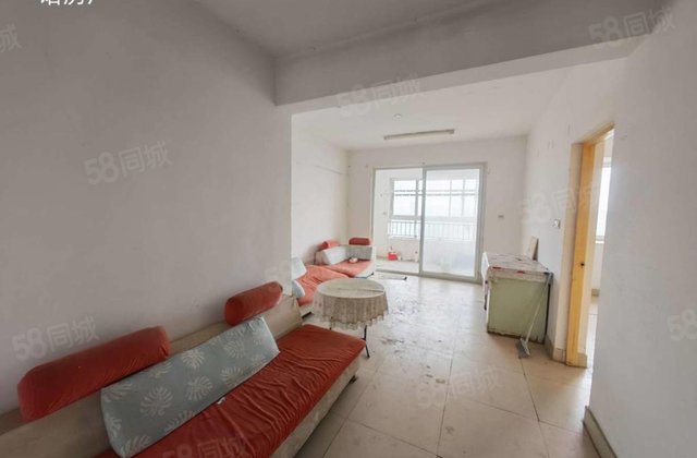 抢，金立文苑城市主人，实验西文轩望湖电梯洋房，三室送储