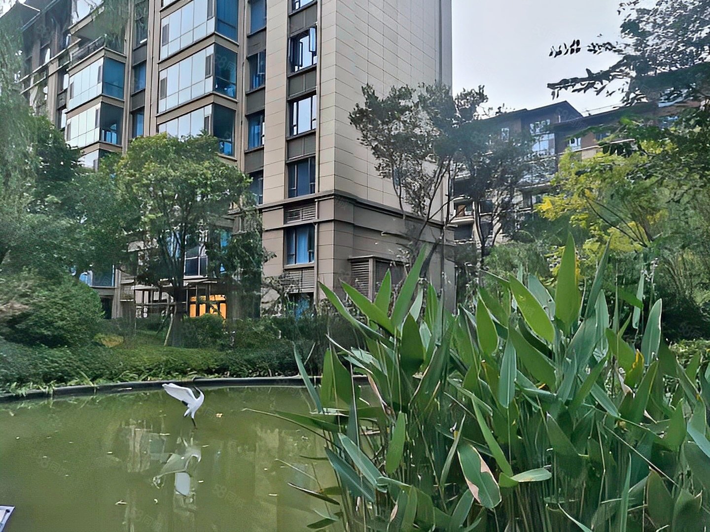 南北通透 电梯房 次新小区 高楼层视野无遮挡 商品住宅,碧桂园翡翠城