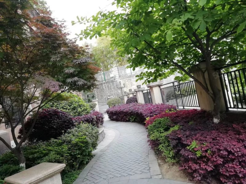 凯旋城3室2厅1卫106.45㎡东西56万