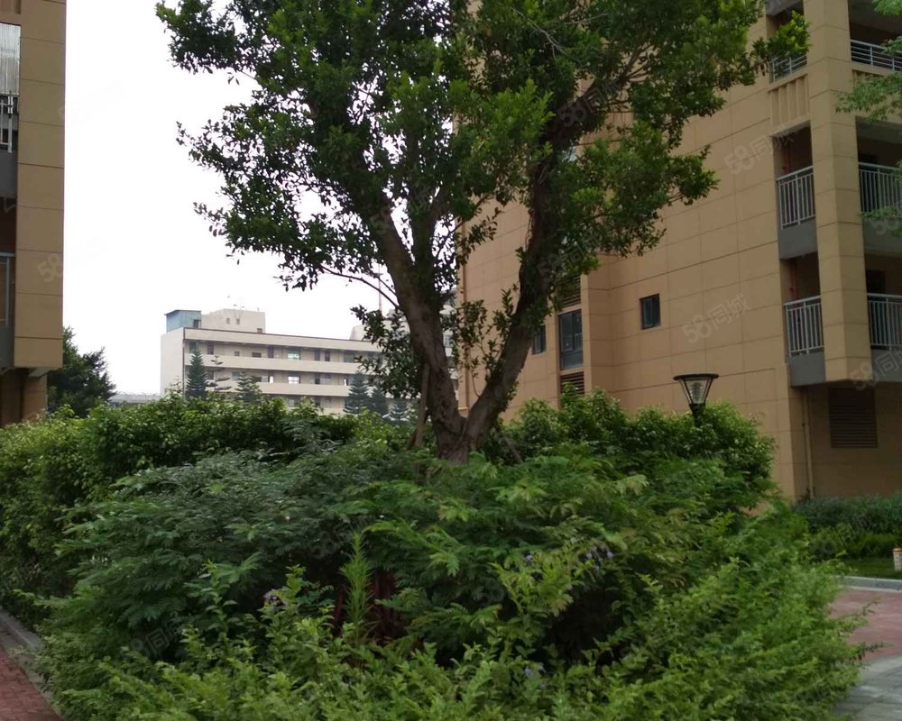 【迎霞新城东区, 迎霞新城东区小区详情,房价走势,房源,业主论坛】