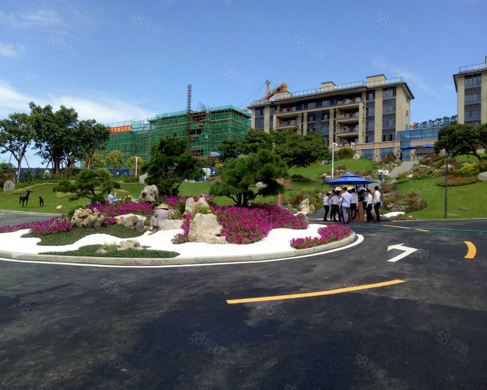 碧桂园云麓半山广州环城高速以外